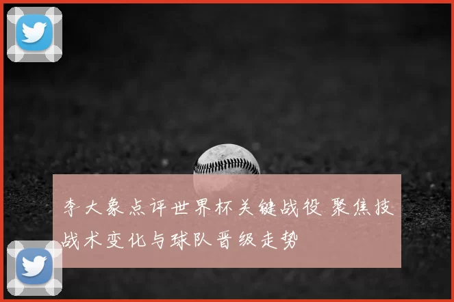 李大象点评世界杯关键战役 聚焦技战术变化与球队晋级走势