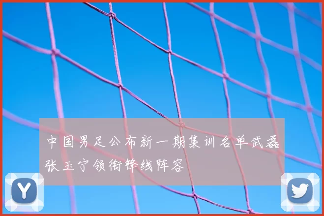 中国男足公布新一期集训名单武磊张玉宁领衔锋线阵容