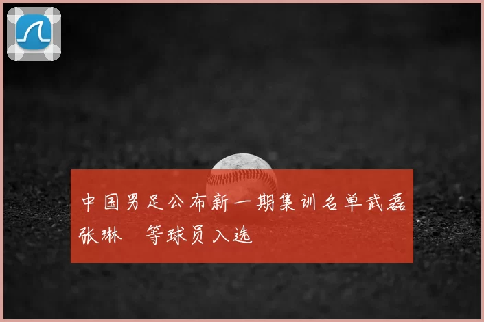 中国男足公布新一期集训名单武磊张琳芃等球员入选