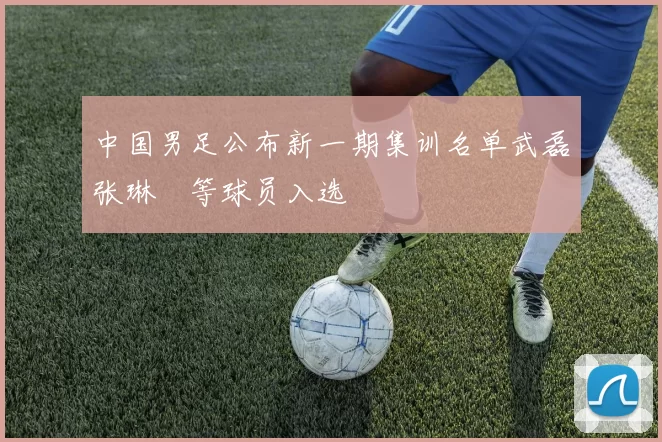 中国男足公布新一期集训名单武磊张琳芃等球员入选