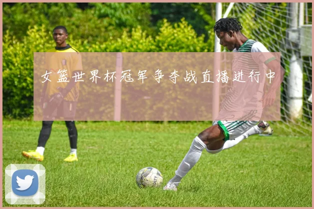 女篮世界杯冠军争夺战直播进行中